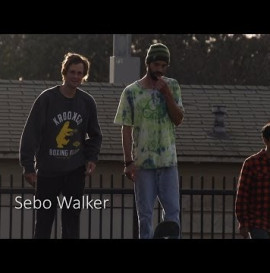 SEBO WALKER 240FPS SLOW MO