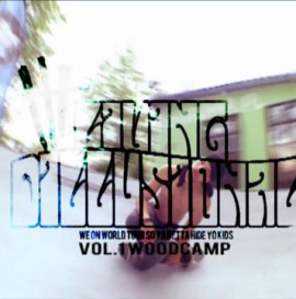 SK videolog LIVING DILLUSIONAL vol.1