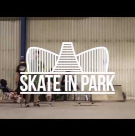 Skate In Park 2017