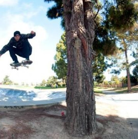 Skatepark Round-Up: Santa Cruz