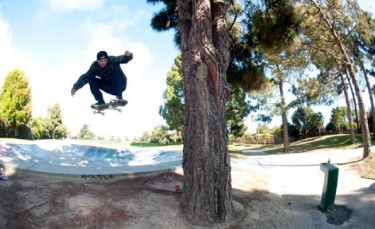 Skatepark Round-Up: Santa Cruz