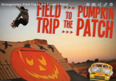 Strangenotes: FIeld Trip To The Pumpkin Patch