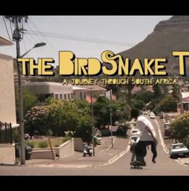 The BirdSnake Tour