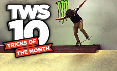 TWS 10 Tricks Of The Month: January