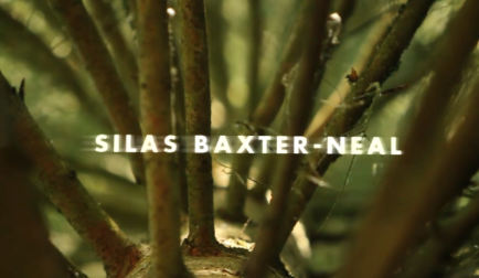 Video Vortex: Silas Baxter-Neal, Perpetual Motion