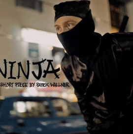 Visualtraveling - The Ninja