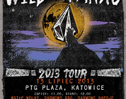 Volcom Wild It The Park - PTG.