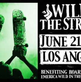 Wild In The Streets L.A. Video