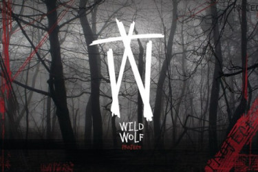 Za kulisami "Wild Wolf Project"